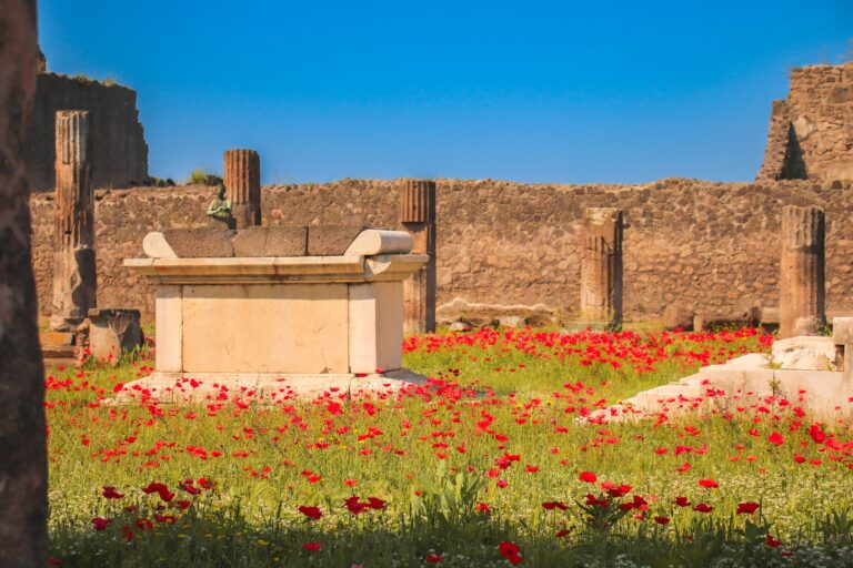 Read more about the article The Beauty and Power of Archaic English in Ancient Poetry